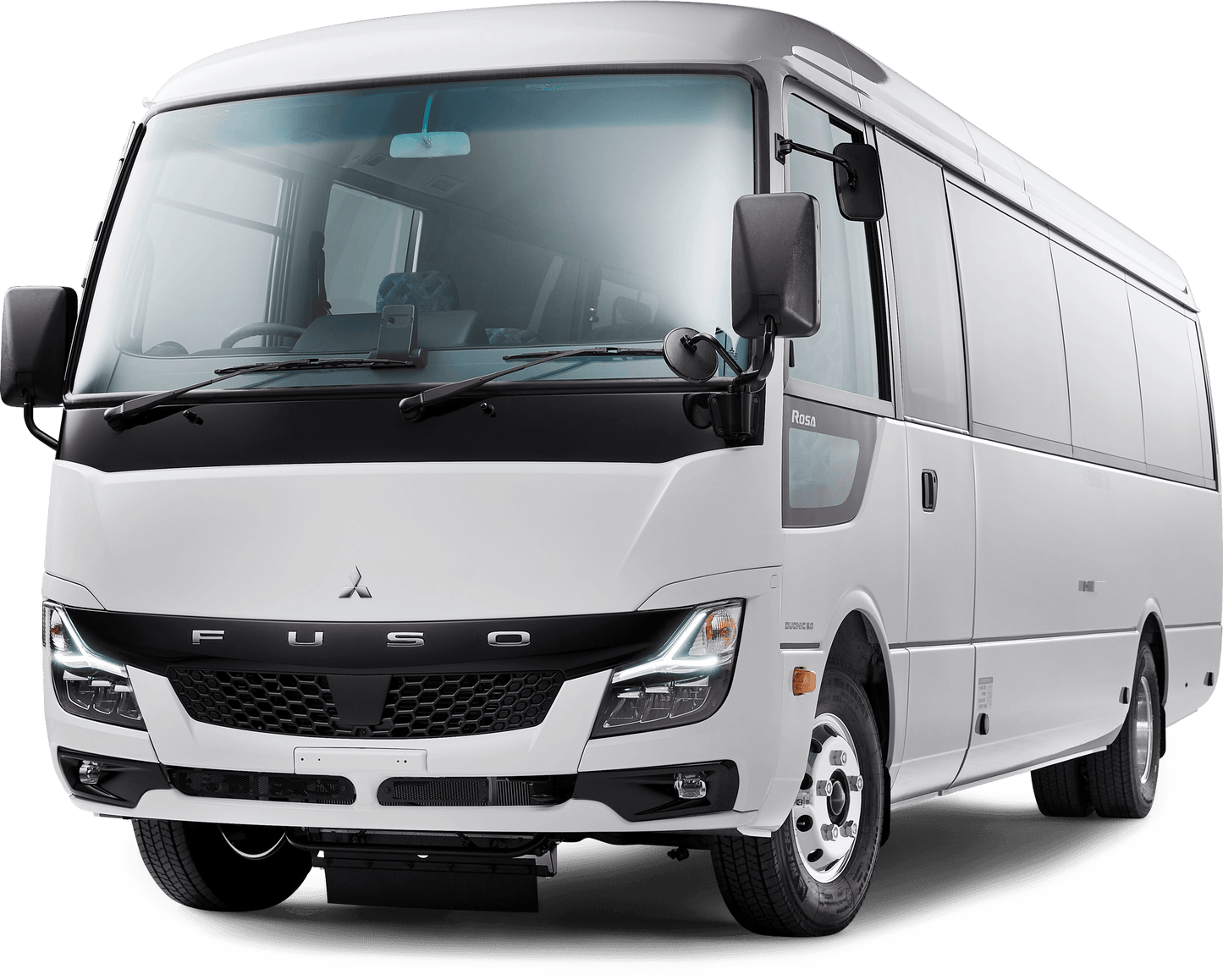 Цейлонская ласка (26 дней)