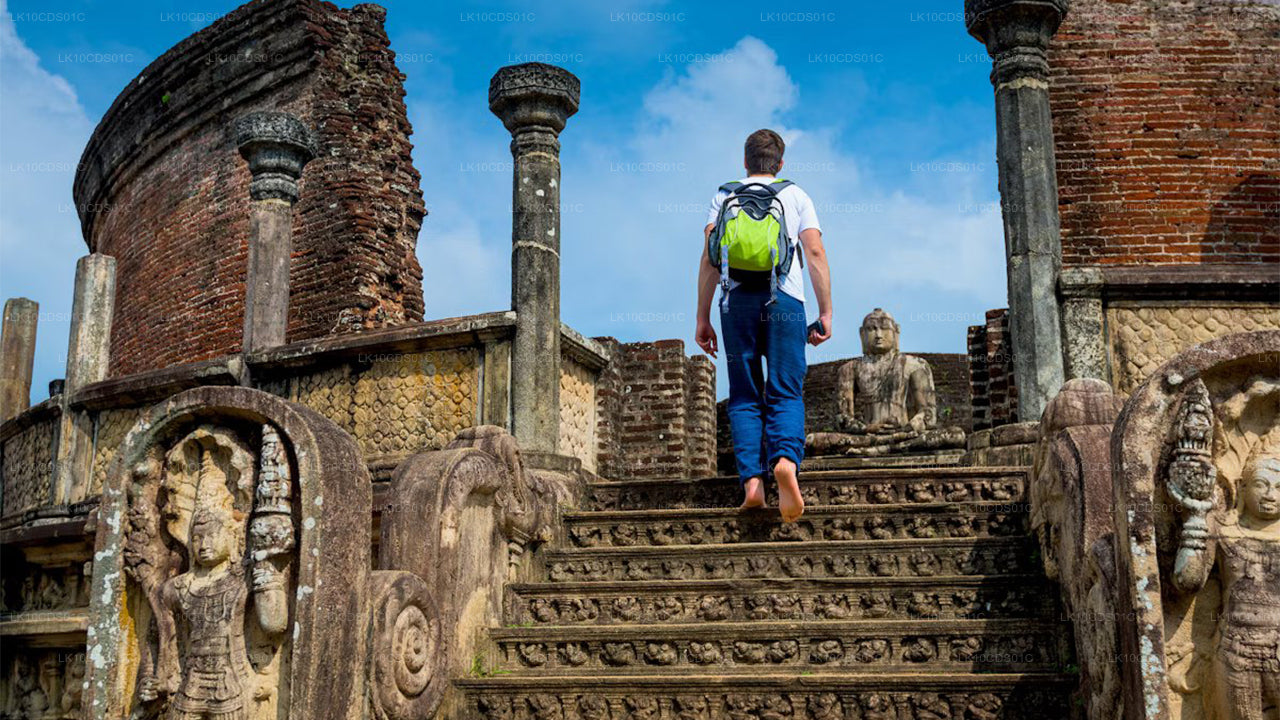 Основные достопримечательности Шри-Ланки, которые можно увидеть на поезде (12)