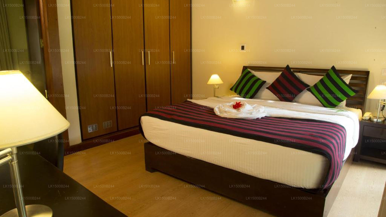 Западный рай, Дамбулла