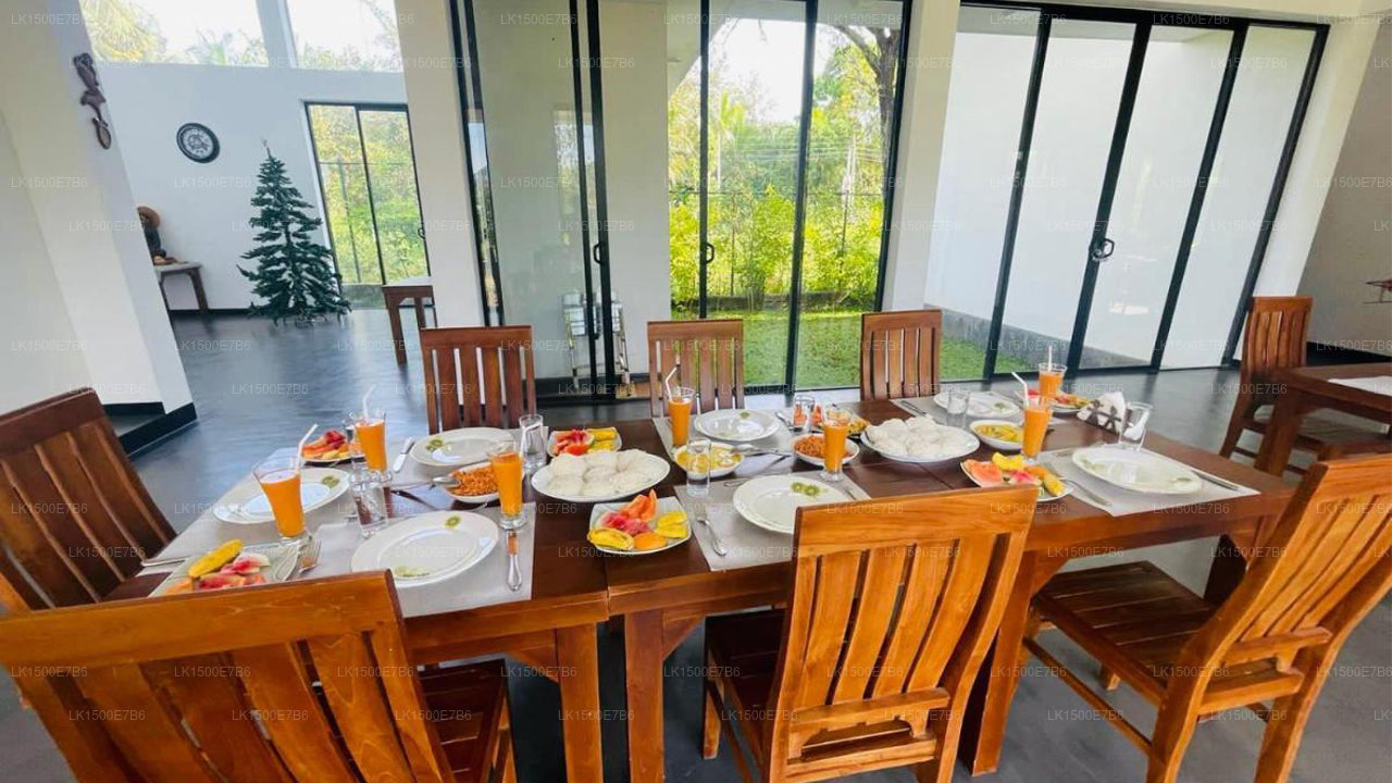 Отель «Черный Мустанг», Дамбулла