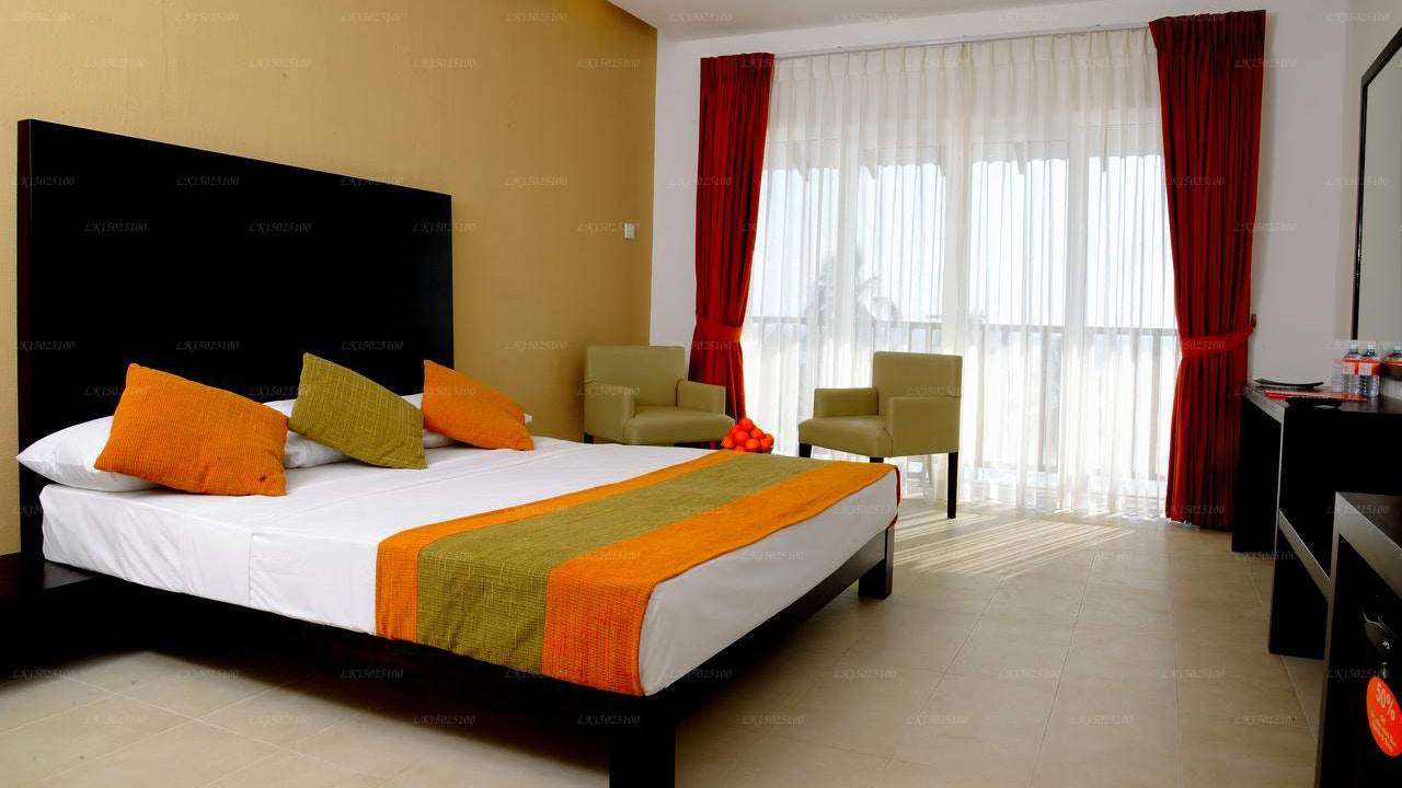 Цитрусовая Хиккадува, Хиккадува