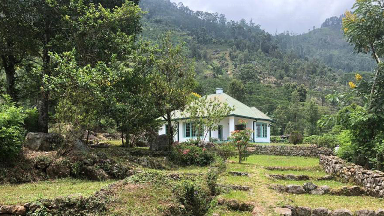 Михидум Пияса, Халдуммулла