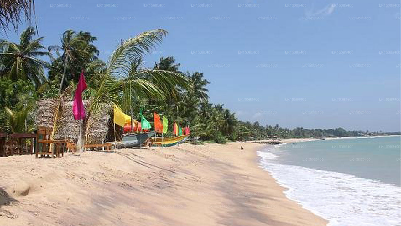 Coconut Beach Cabanas, Tangalle