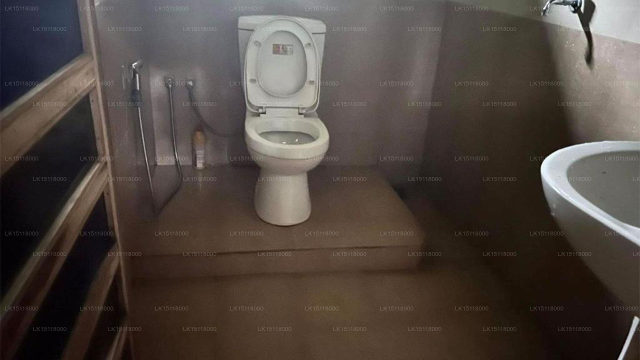 Themiya Sevena, Mahiyanganaya