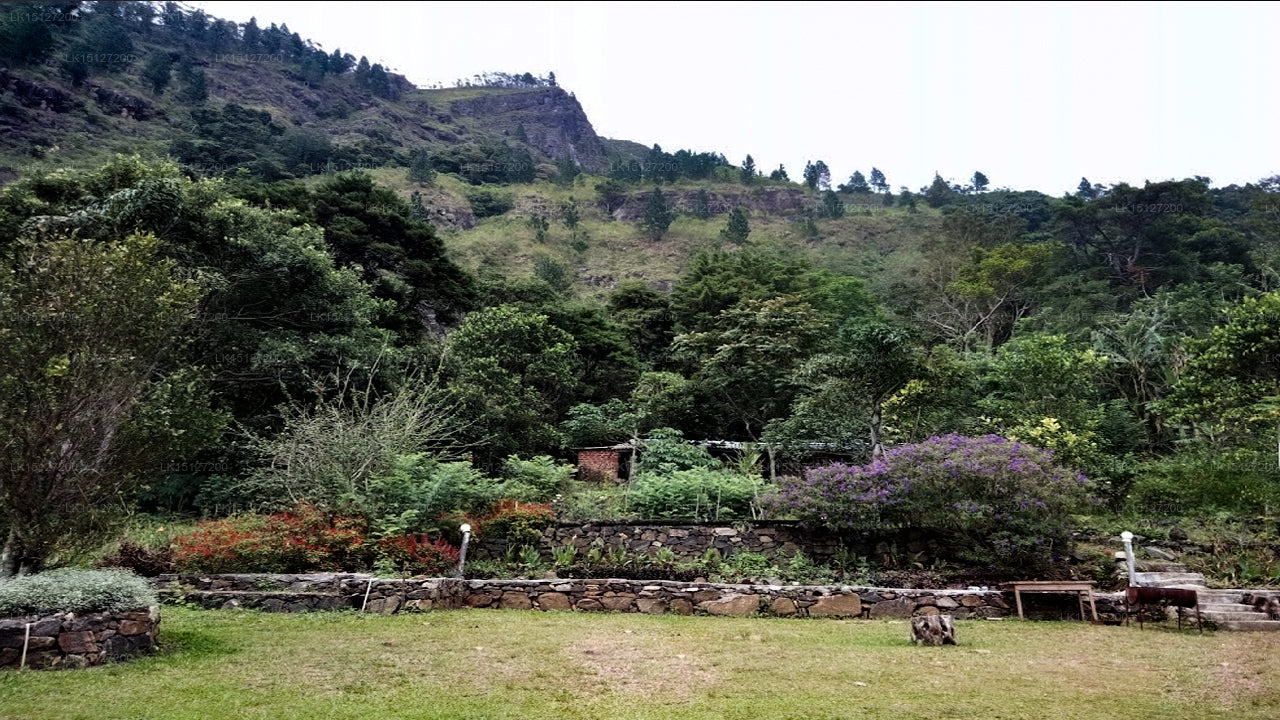 Bambarakanda Eco Holiday Resort, Haputale