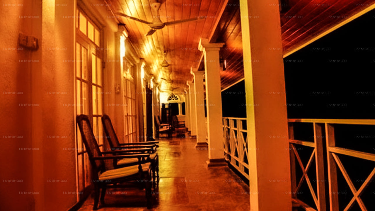 Окраина леса, Китулгала