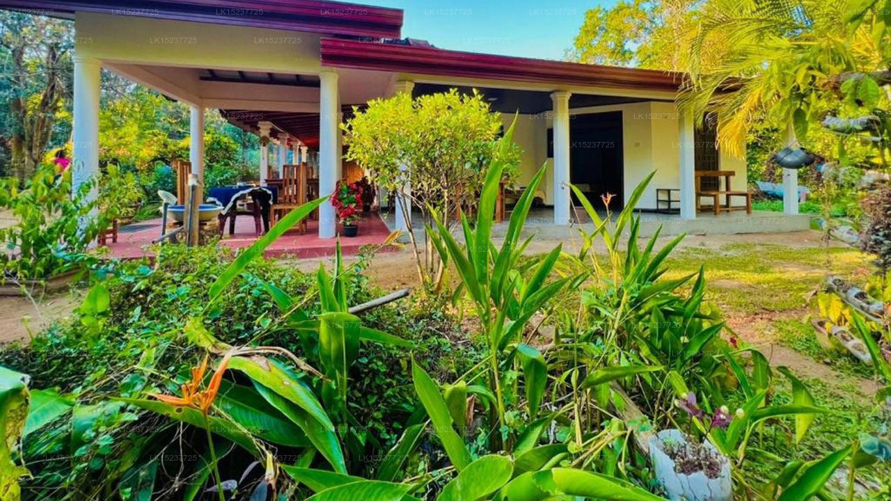 Sigiriya Moonlight Home, Sigiriya