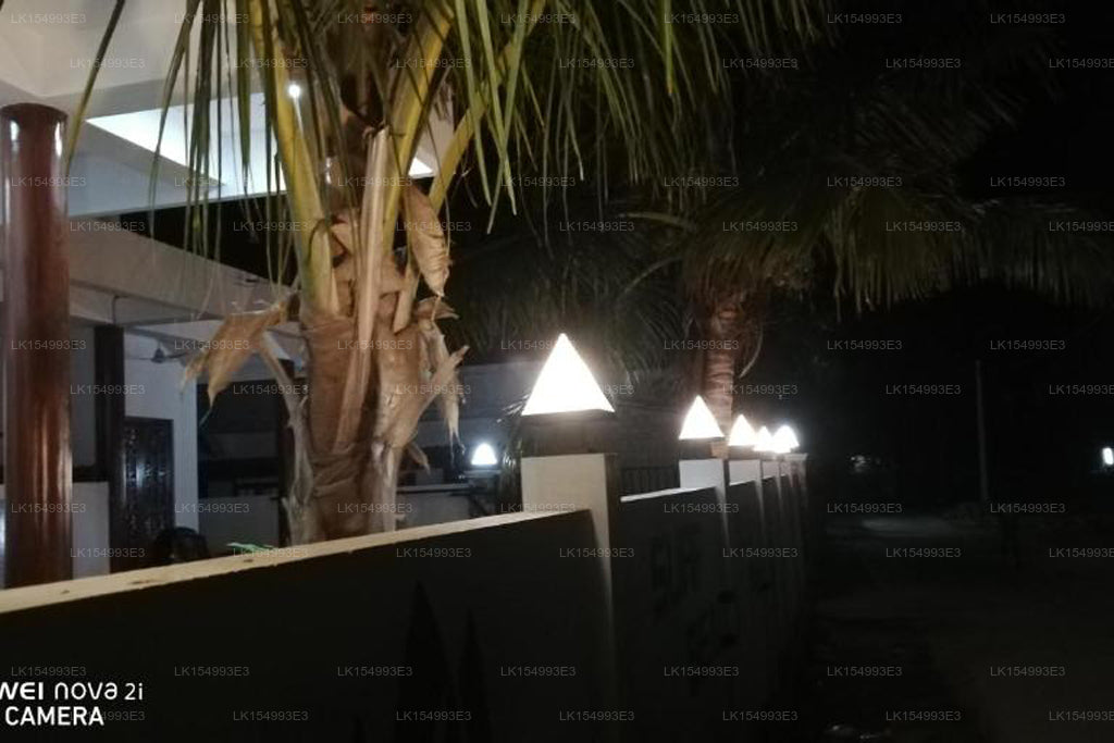 Пляжный дворец для дайвинга Surf Reef, Тринкомали