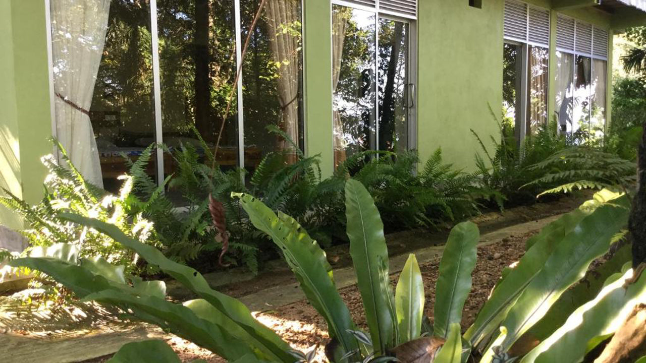 Эко-курорт «Синхараджа Курулу Элла», Дения