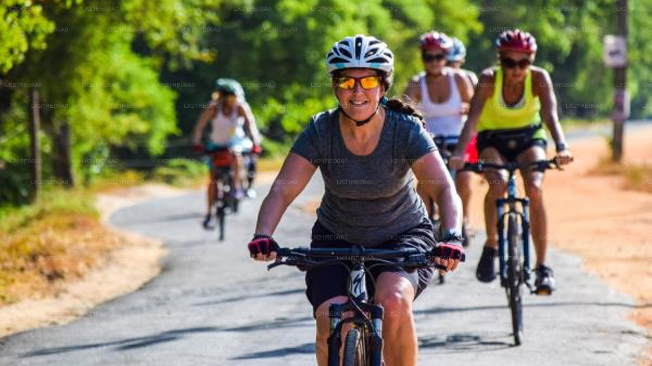 Прокат велосипедов в Галле