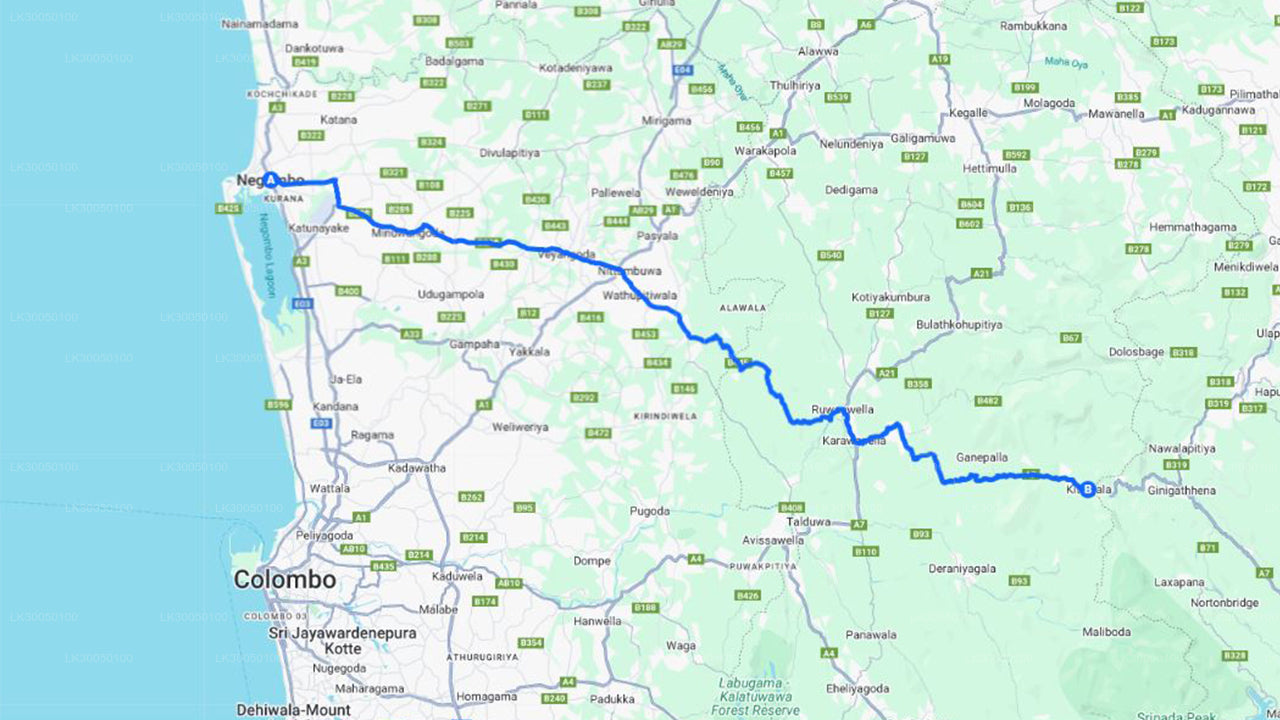 Рафтинг по бурной воде из Негомбо