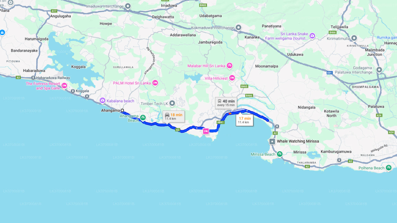 Наблюдение за китами из Ахангамы на общей лодке.