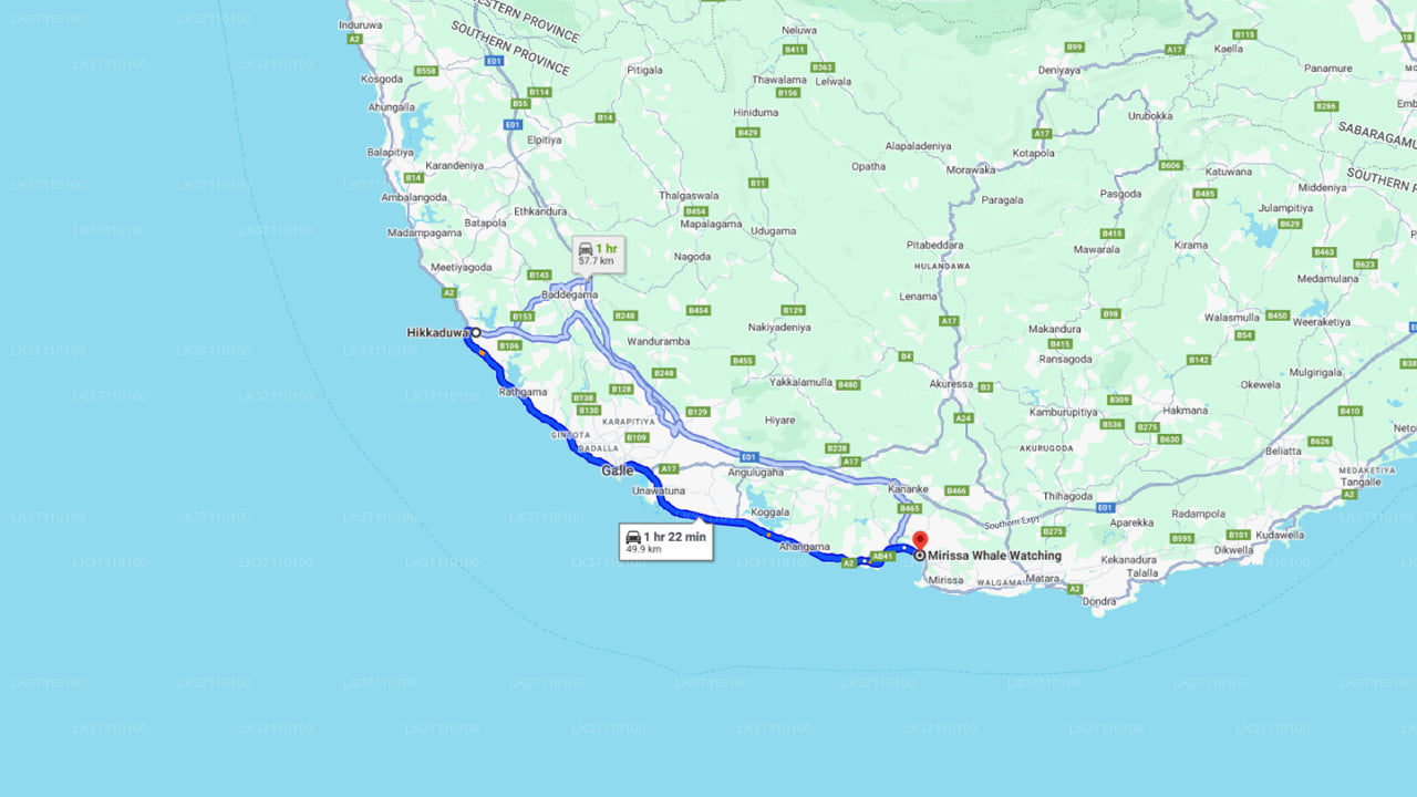 Экскурсия на лодке с наблюдением за китами из Хиккадувы