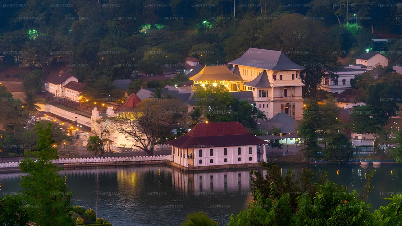 Элла — Канди: живописное путешествие на поезде, автомобиле или микроавтобусе.