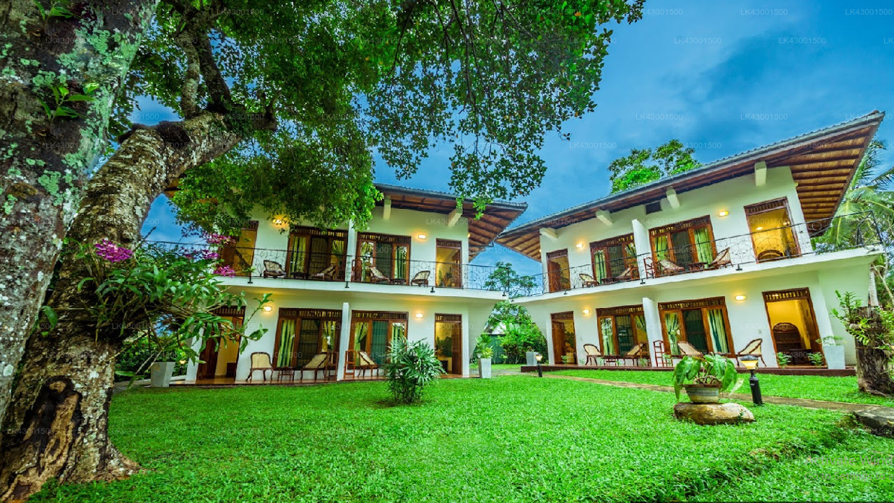 Coral Gardens, Hikkaduwa