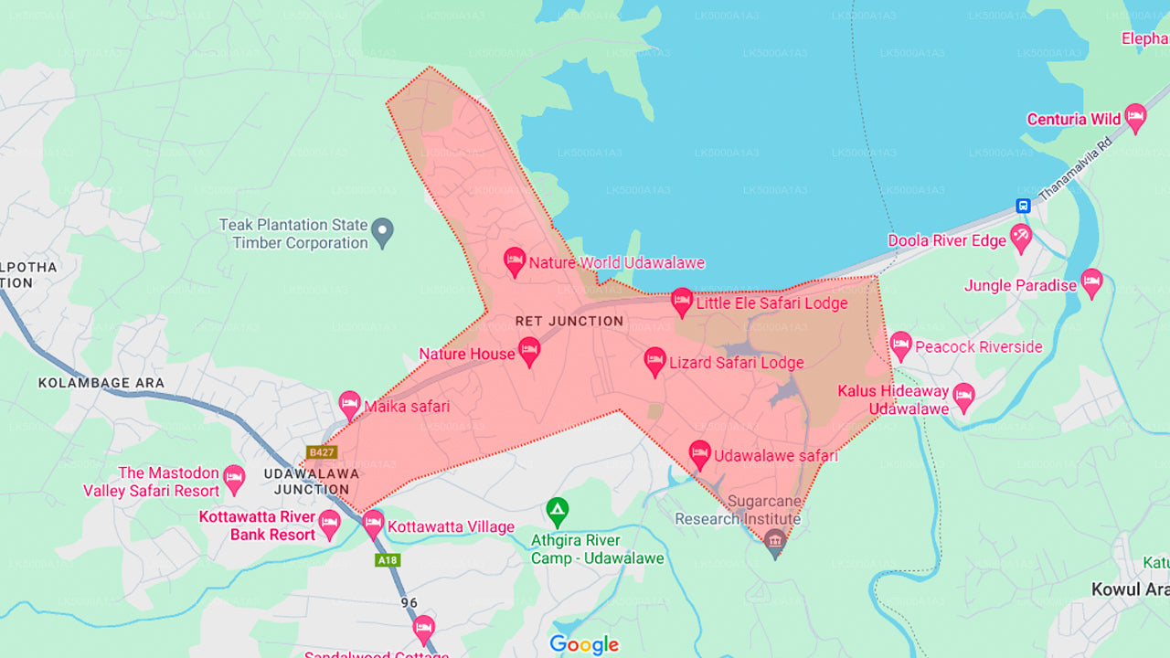 Сафари в национальном парке Удавалаве с посещением дома на слонах