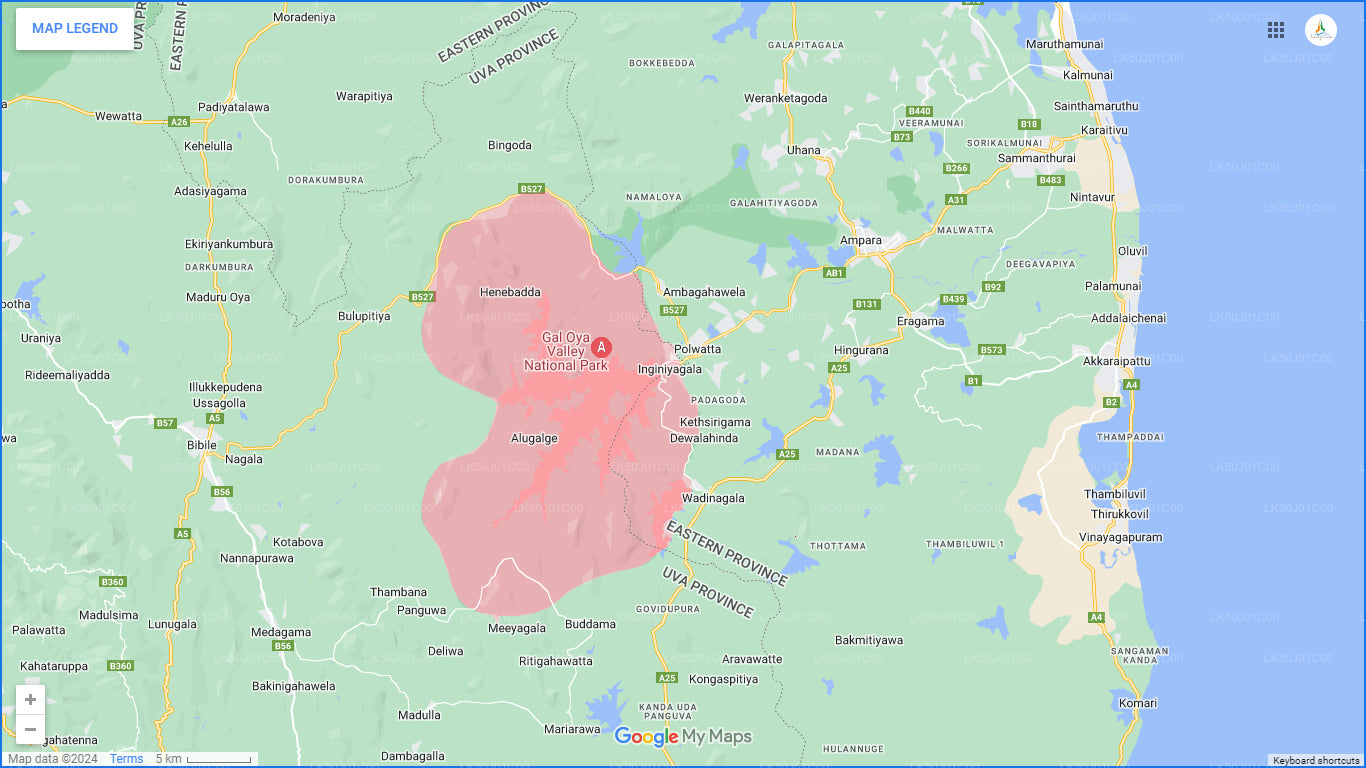 Частное сафари в национальном парке Гал-Ойя