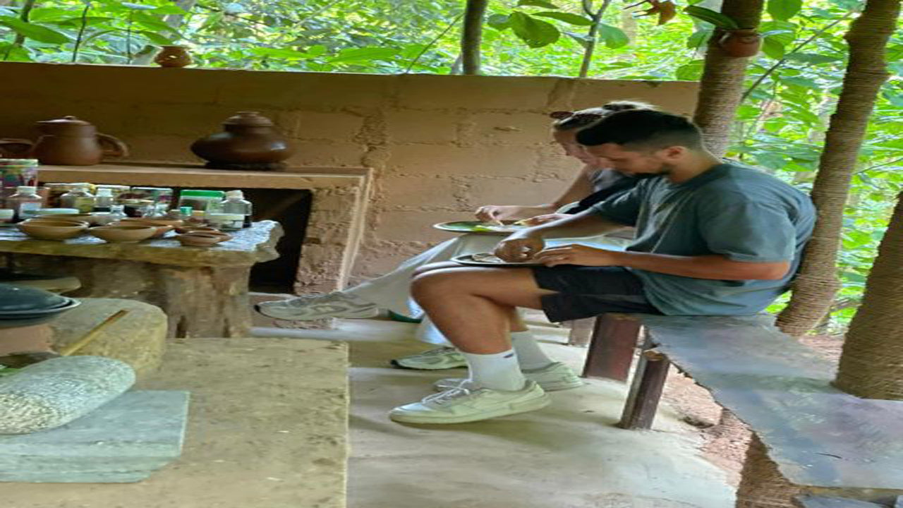 Сельское хозяйство Шри-Ланки, добыча драгоценных камней и опыт деревни на Цейлоне, 1850 год