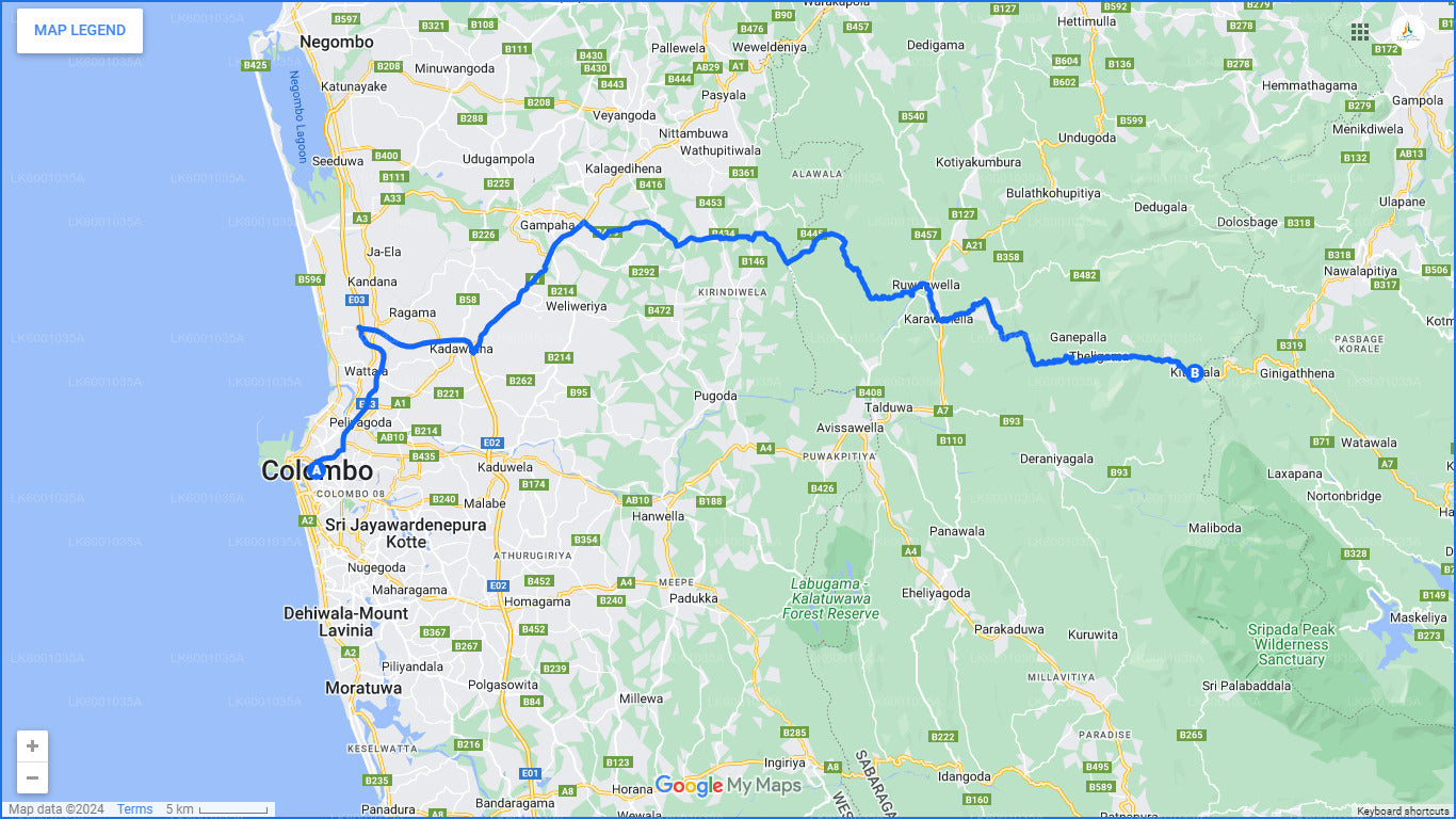 Количество человек