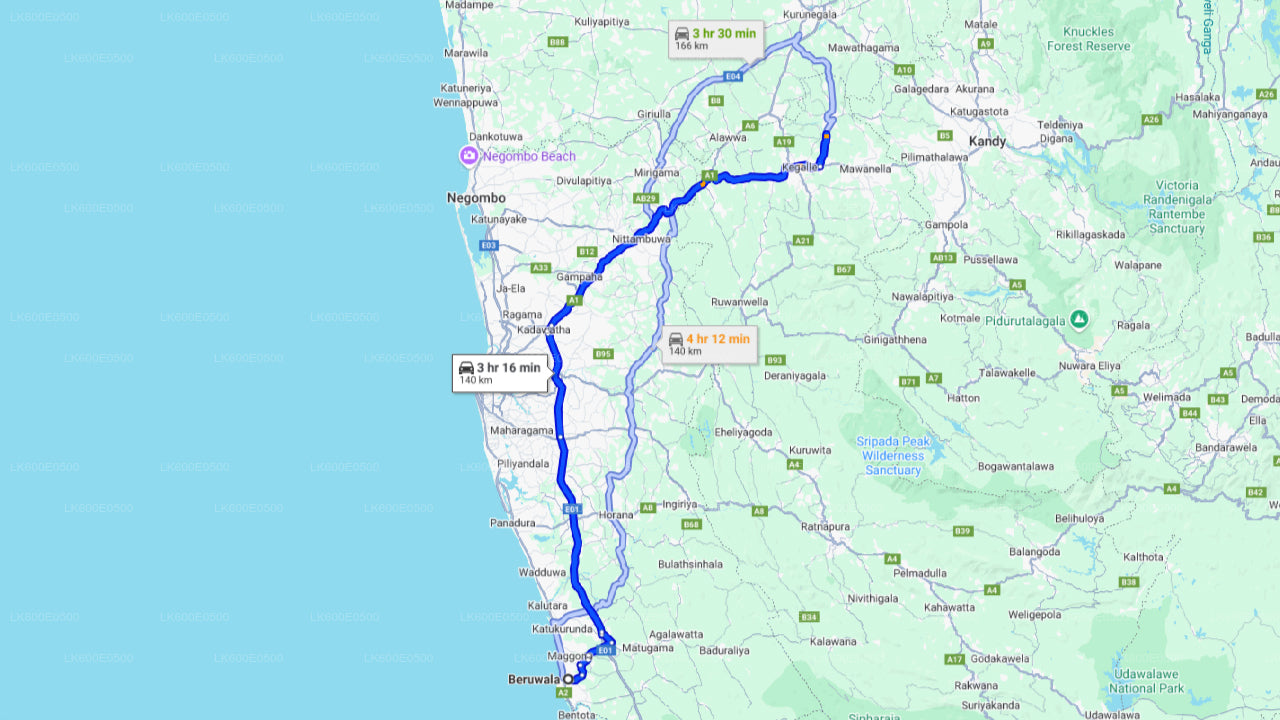 Слоновий приют Пиннавала из Берувалы