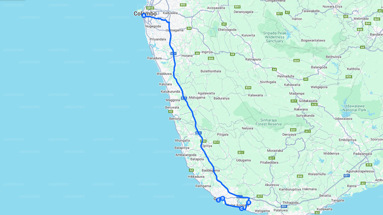 Количество человек