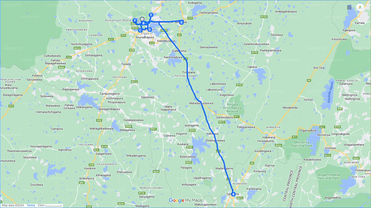 Священный город Анурадхапура из Дамбуллы