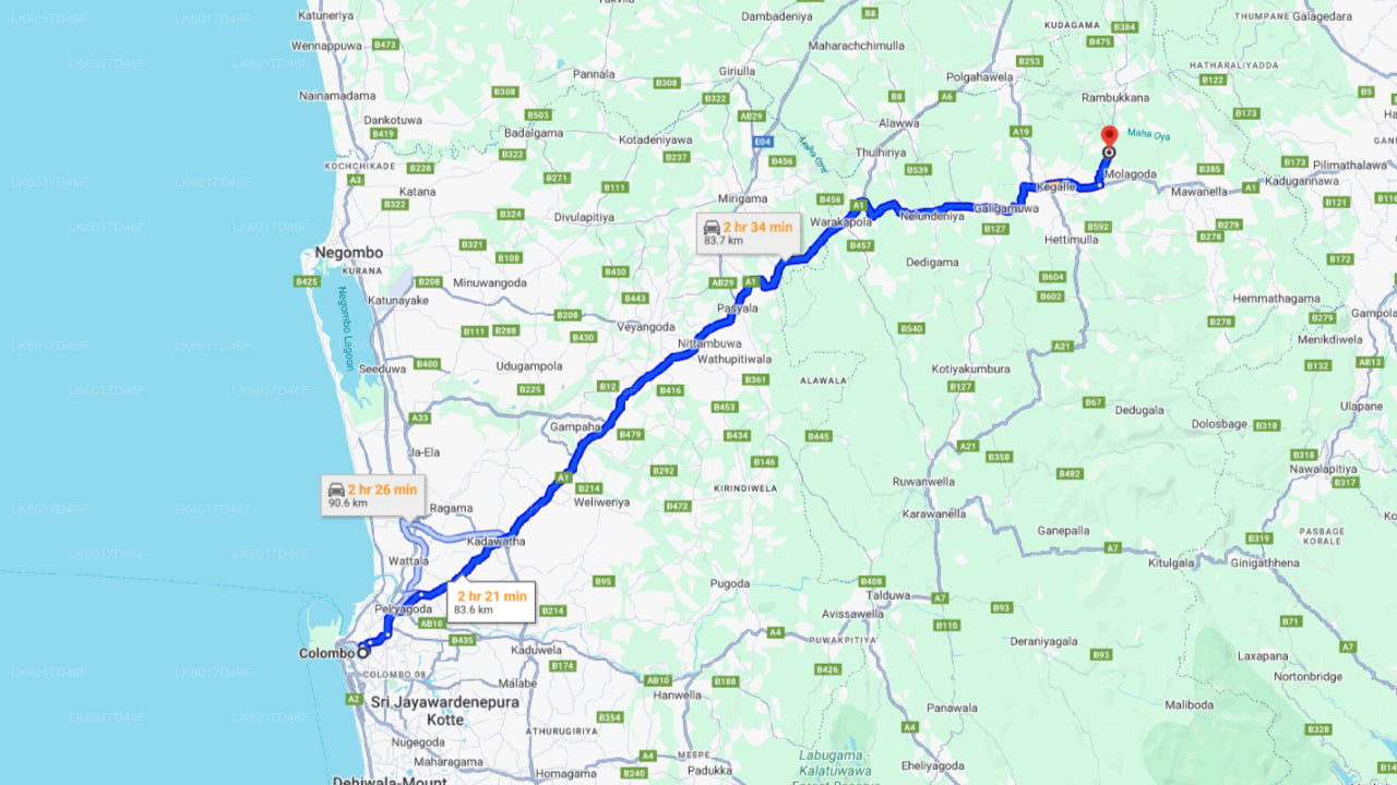 Фонд «Слоны тысячелетия» из Коломбо