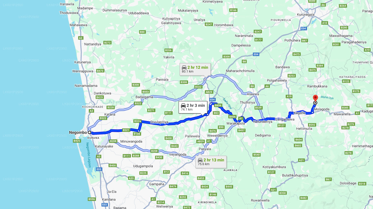 Фонд «Слоны тысячелетия» из Негомбо