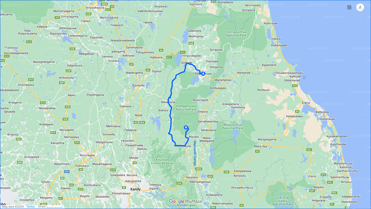 Сафари в национальном парке Вазгамува с отправлением из Полоннарувы.
