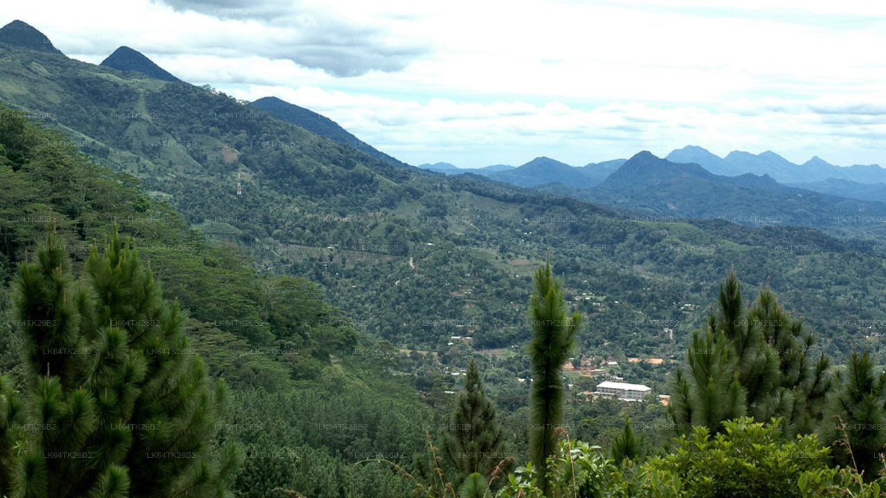 Поход к Львиной скале из тропического леса Синхараджа.