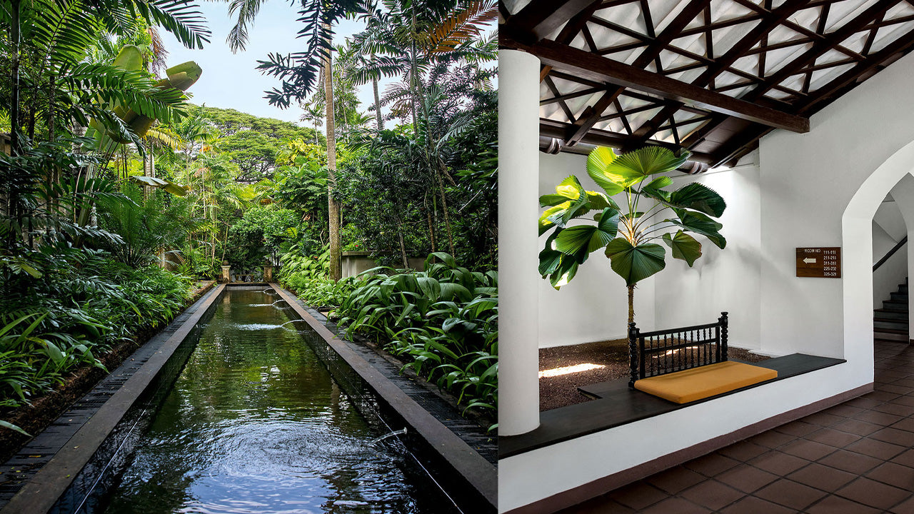 Входные билеты в дом Бава