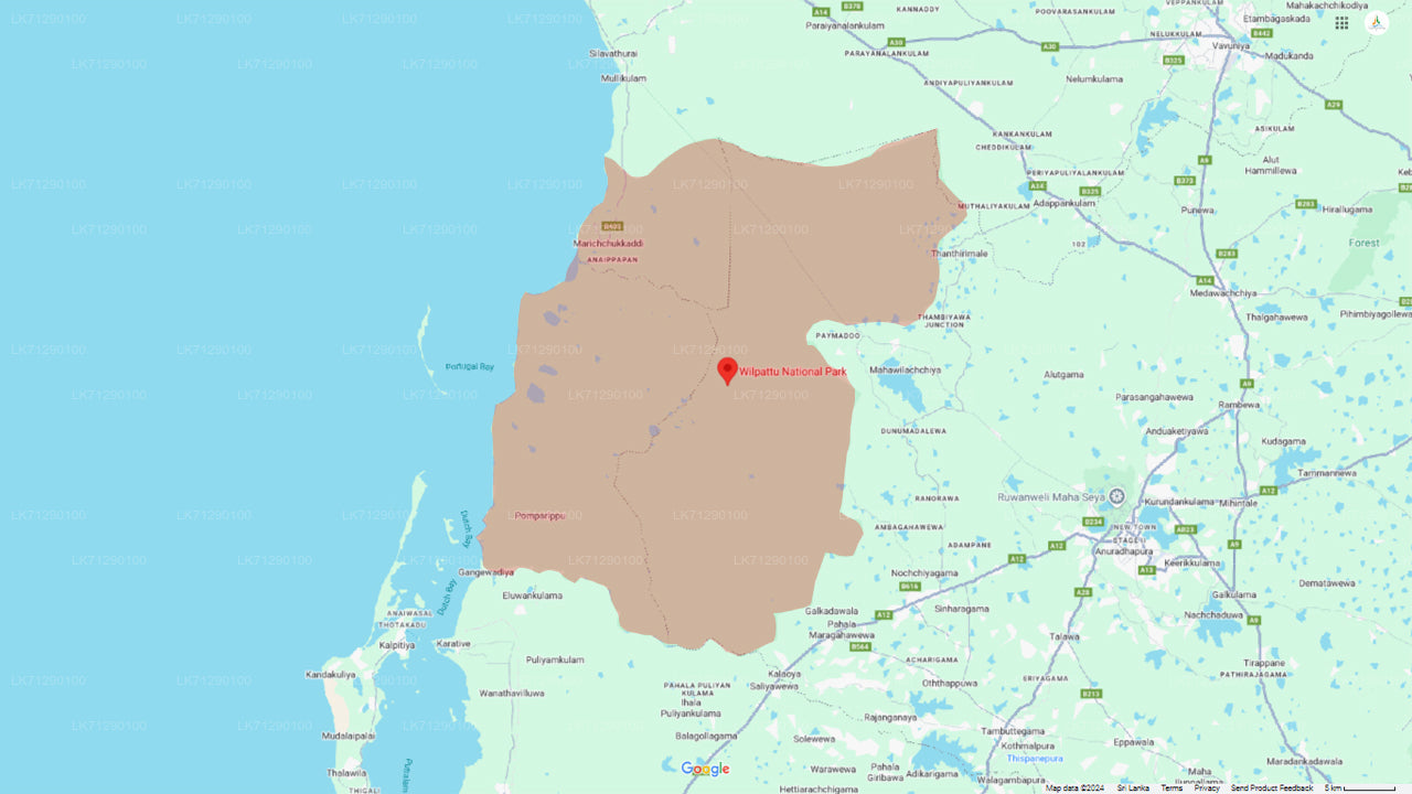 Входные билеты в национальный парк Уилпатту