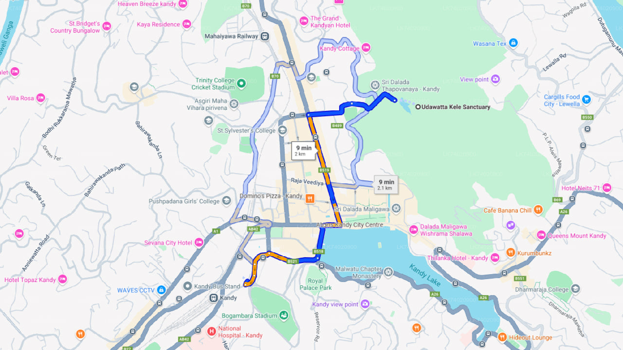 Поход в лесной заповедник Удаваттакеле из Канди