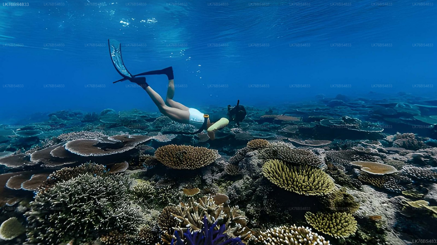 Snorkeling In Pasikudah Reef