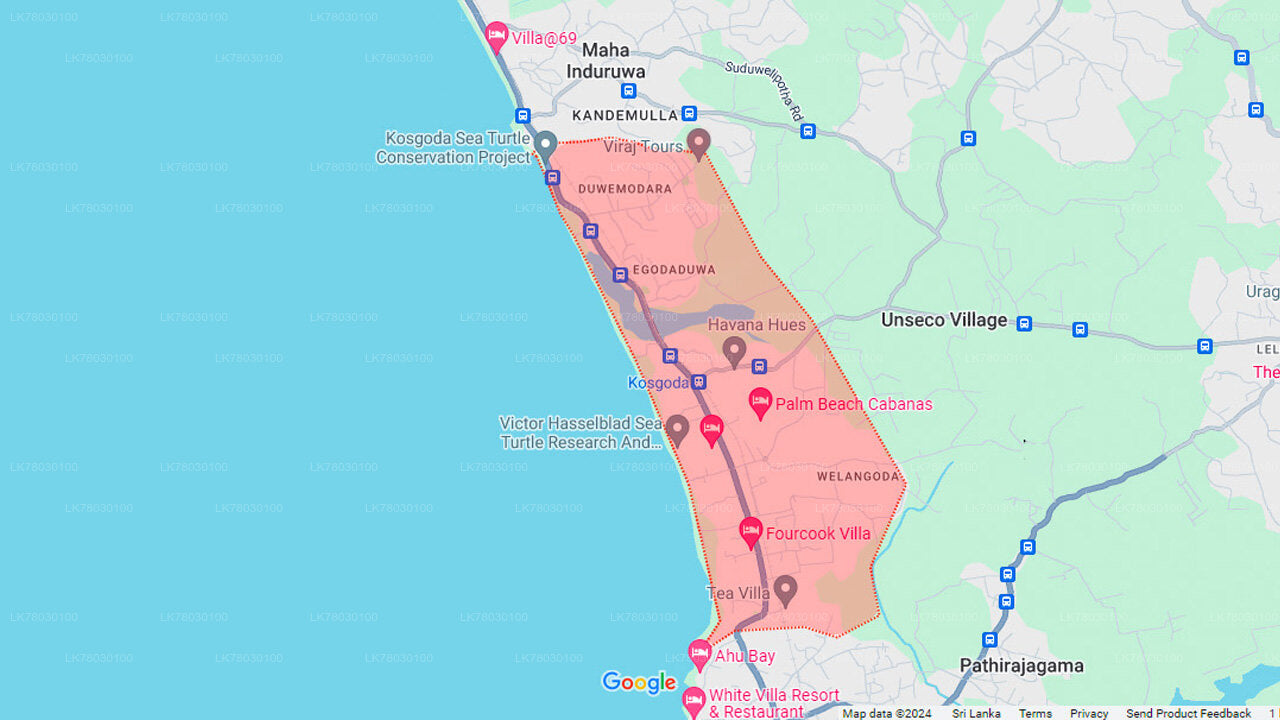 Кулинарный мастер-класс по Шри-Ланке из Бентоты