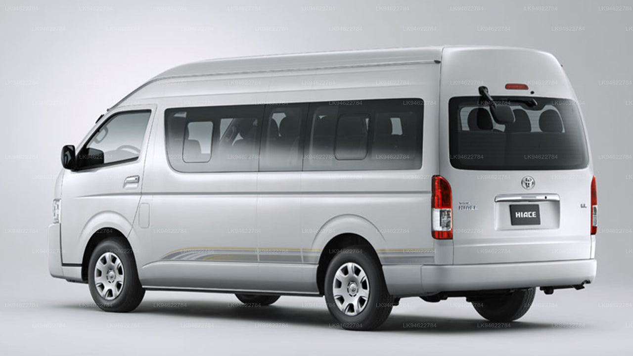 Аренда микроавтобуса с водителем (большого размера)