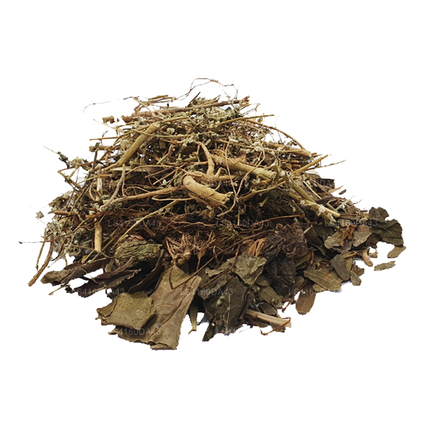 Хела Сувайя — Дум-Хаттия