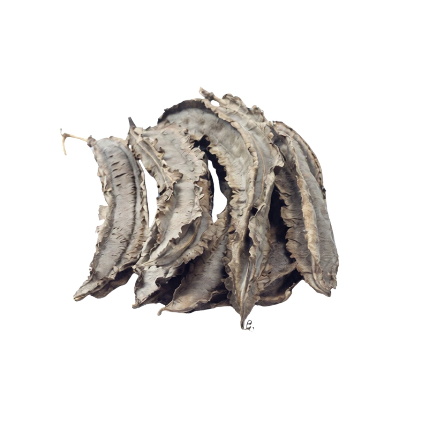 Крылатые бобы Лакпура