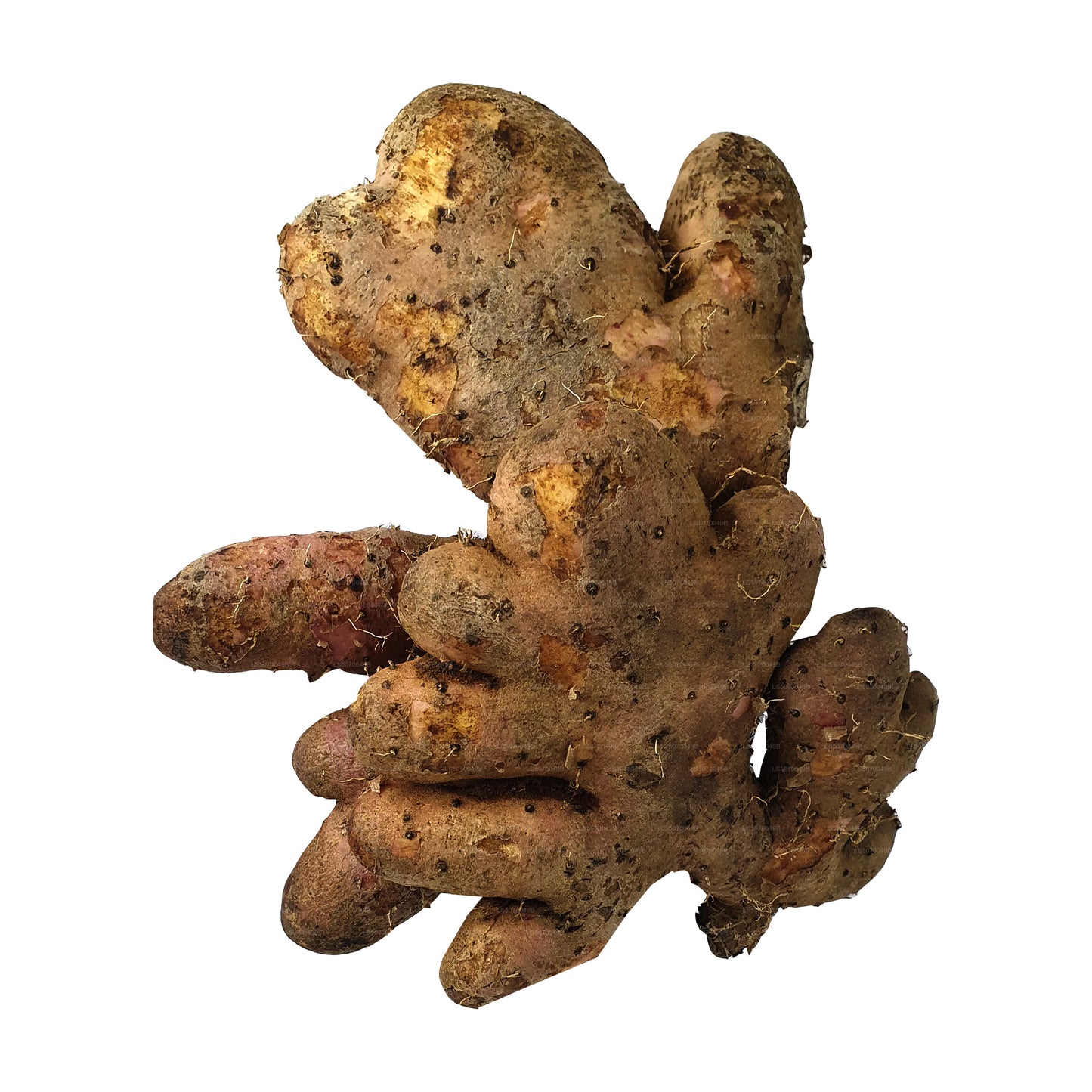 Лакпура Хингурала Ям