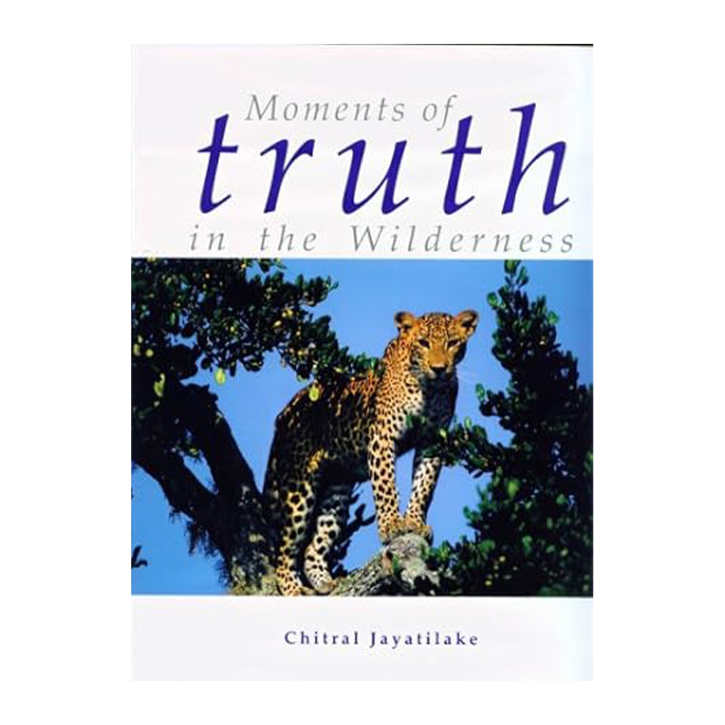 Моменты истины в пустыне