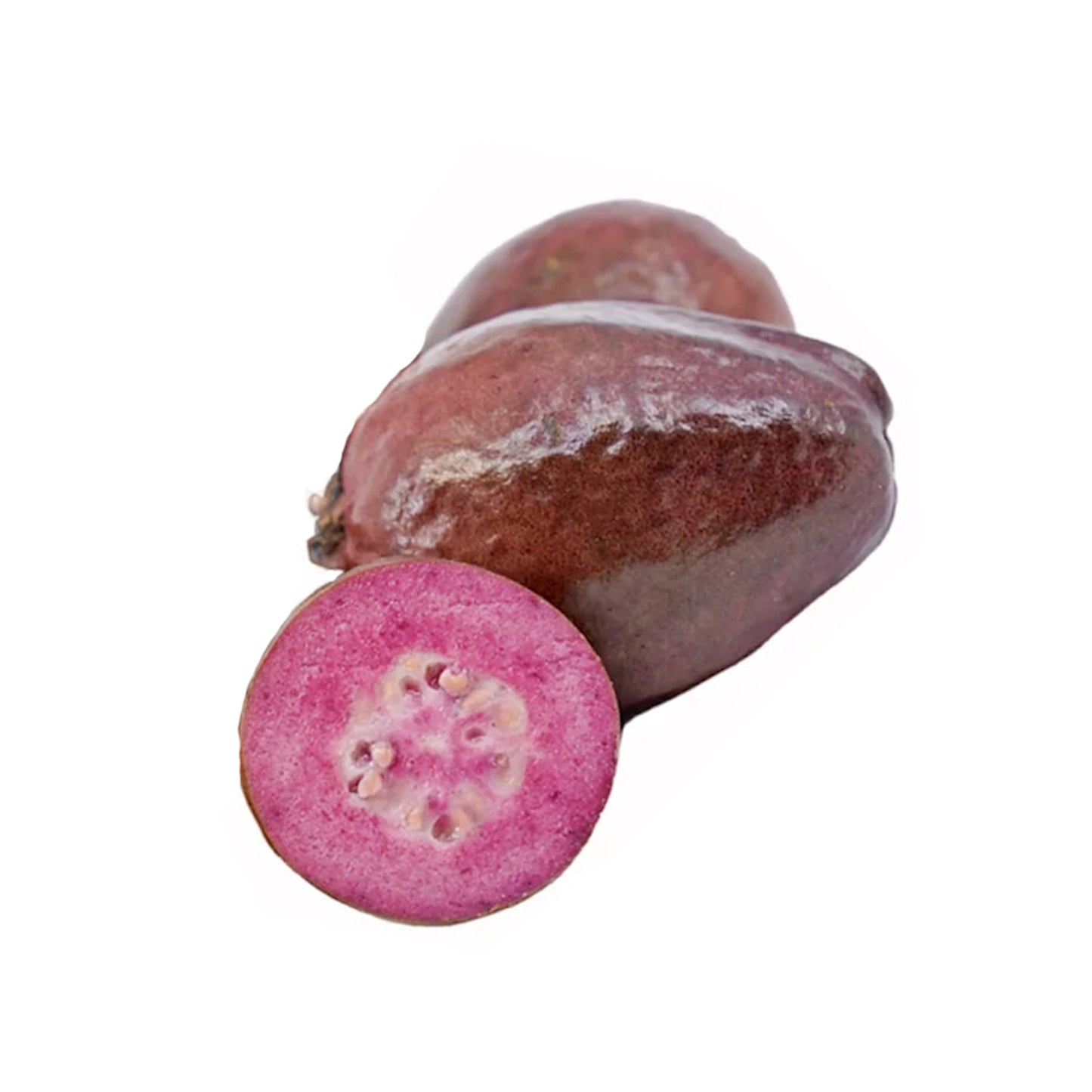 Плодовое растение пурпурной гуавы Лакпура