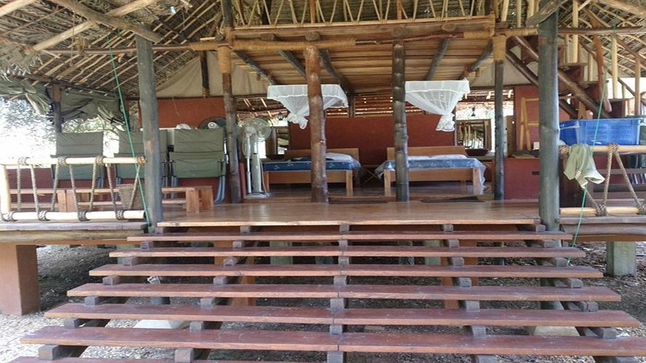 Дикий каджан, Катарагама