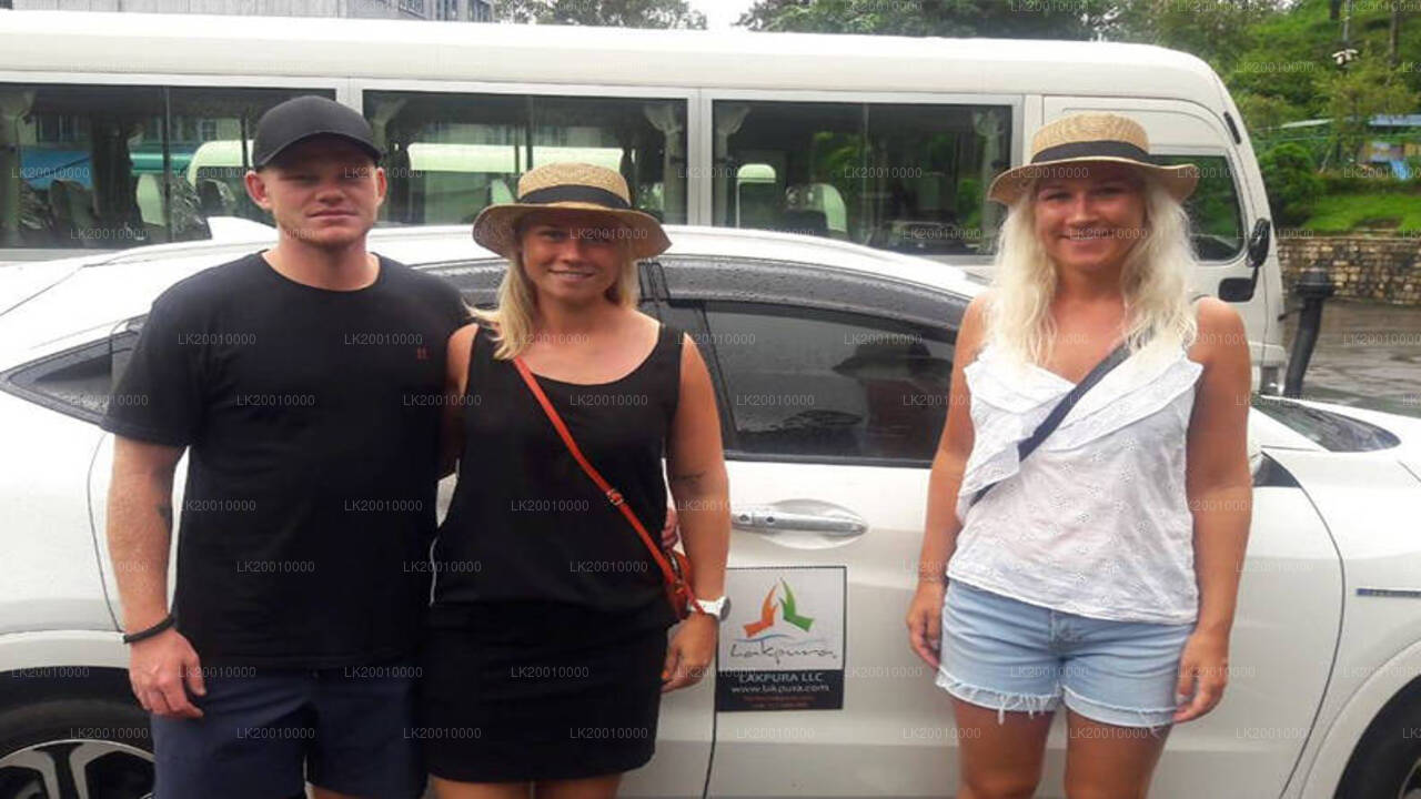 Аренда автомобиля с водителем (стандарт)