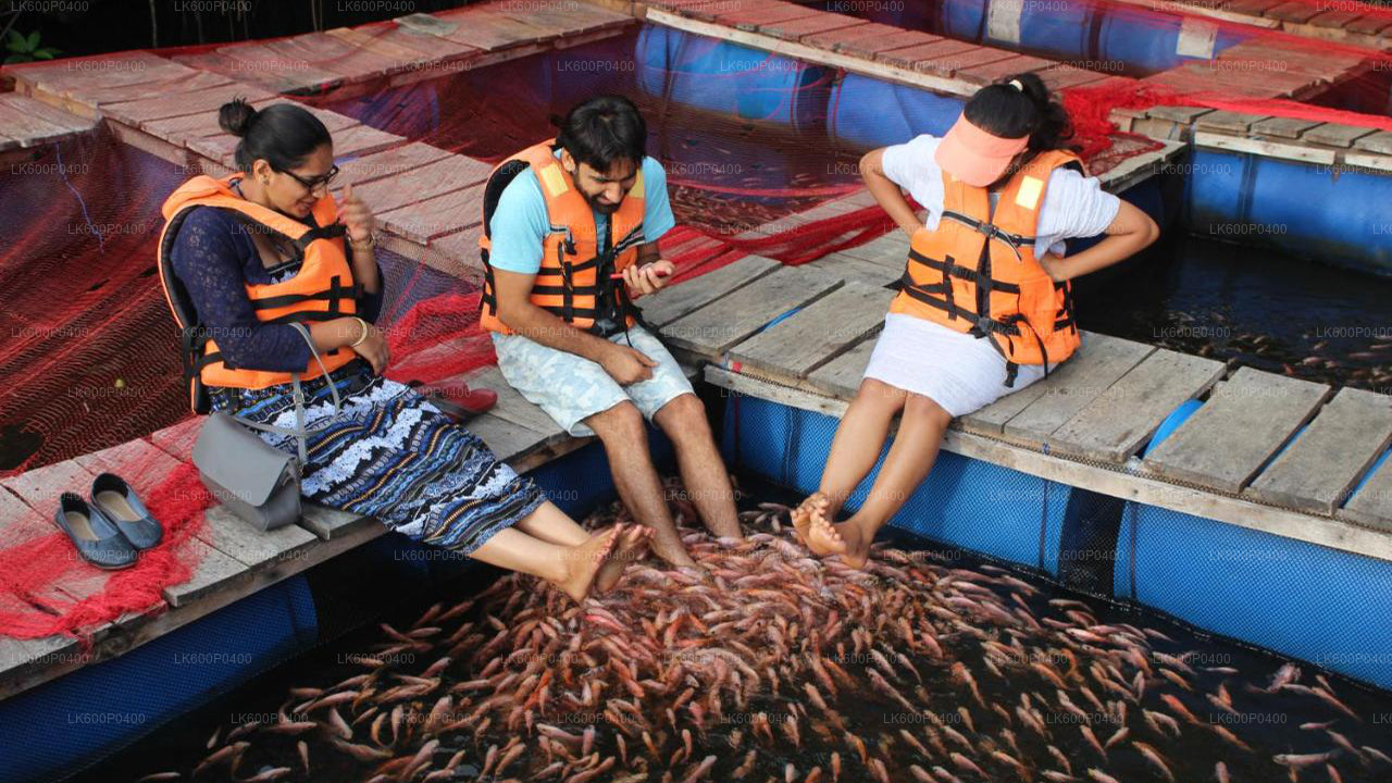 Экскурсия по Бентоте из Галле