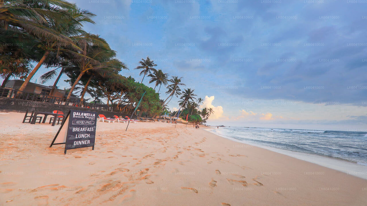 Экскурсия по скрытым храмам и уединенным береговым линиям из Унаватуны.