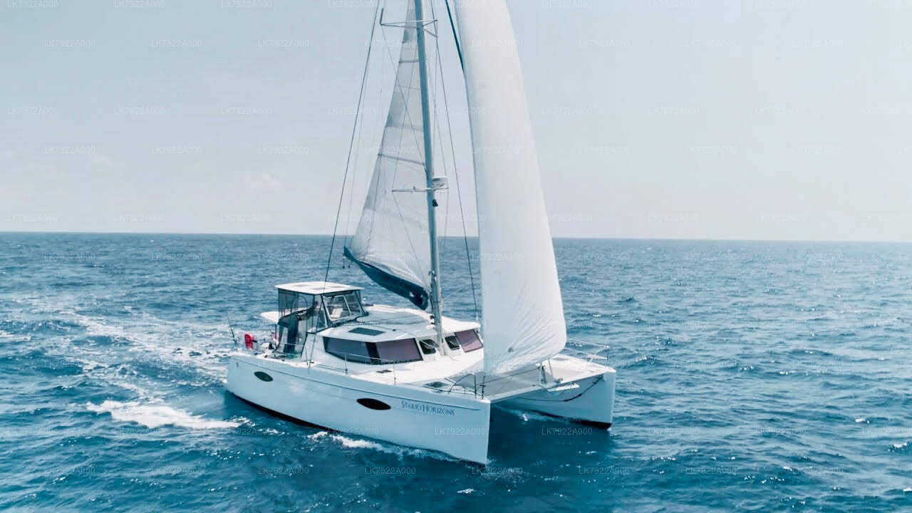 Экскурсия на яхте с наблюдением за китами из Тринкомали