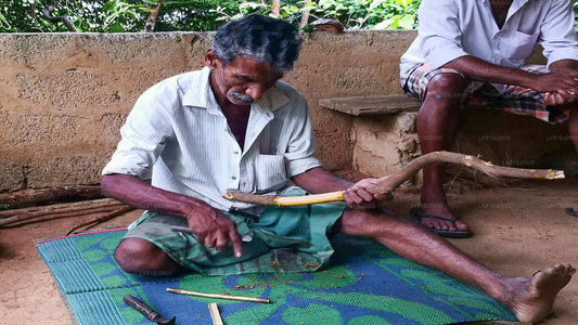 Экскурсия по Бентоте из порта Коломбо