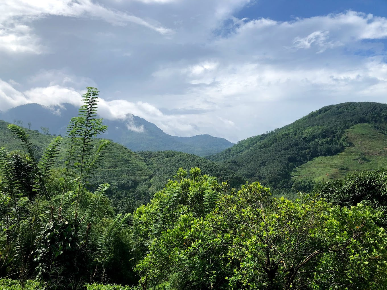 Paradise Eco Garden, Kithulgala