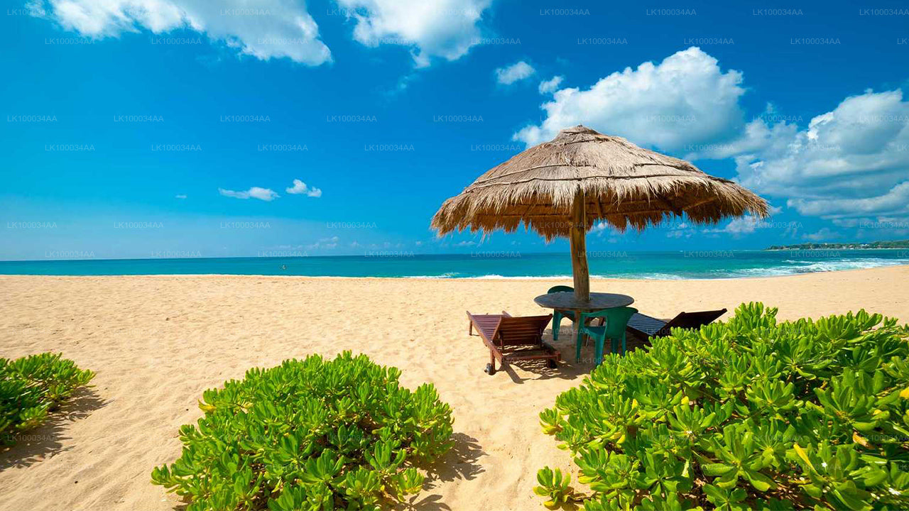 Откройте для себя Шри-Ланку с Махешем Абейратне