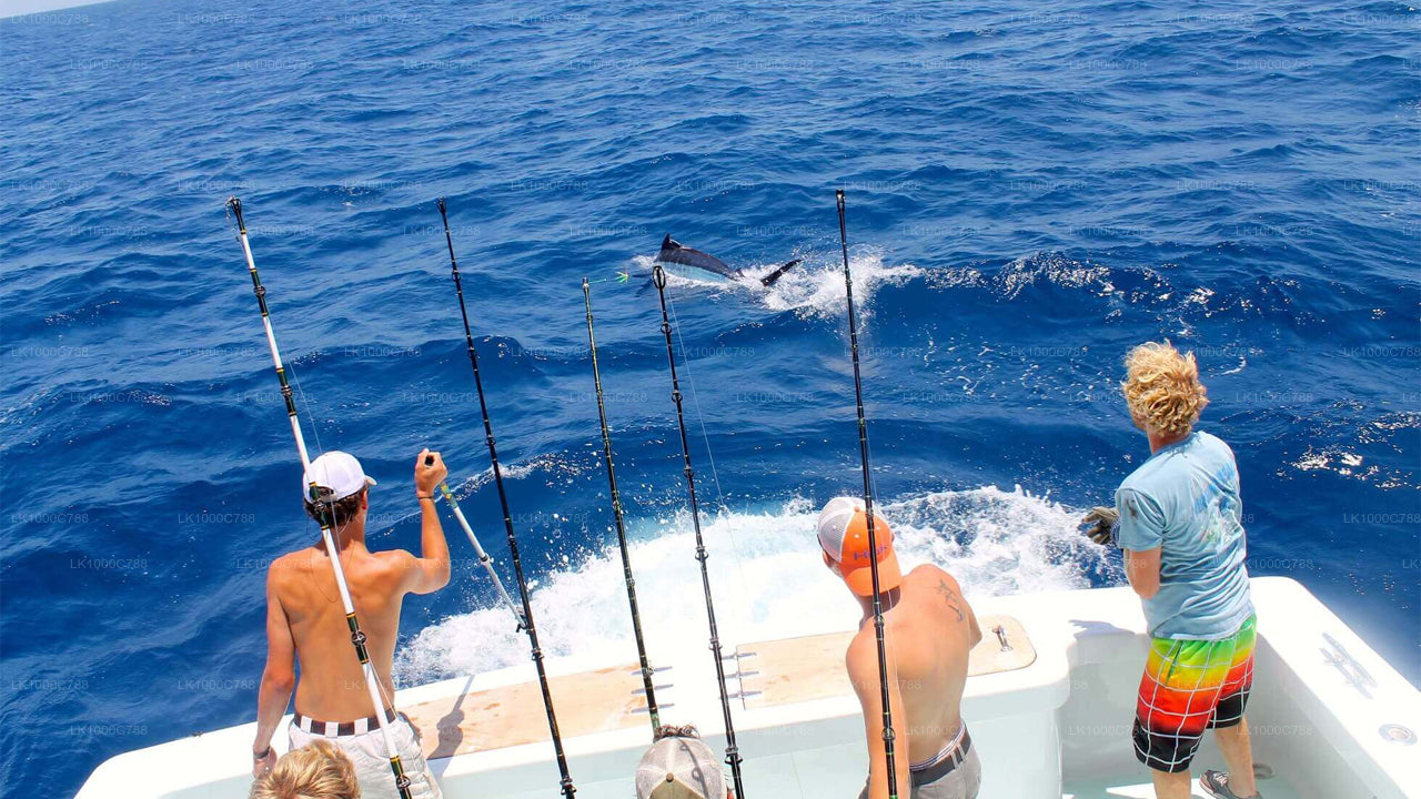 Dolphin Watching, Snorkeling, and Fishing Combined Tour at Trincomalee